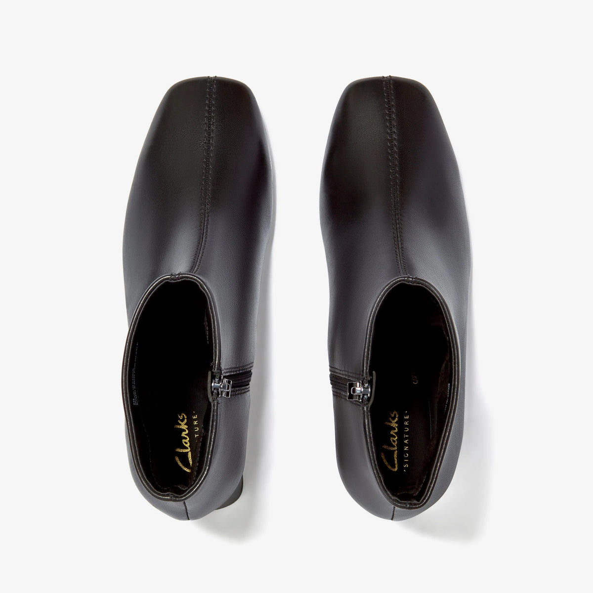 Fernie Zip