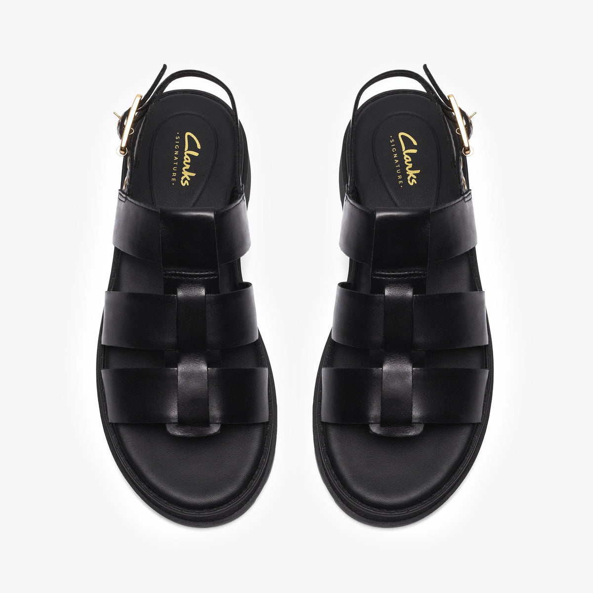 Orinoco3 Strap